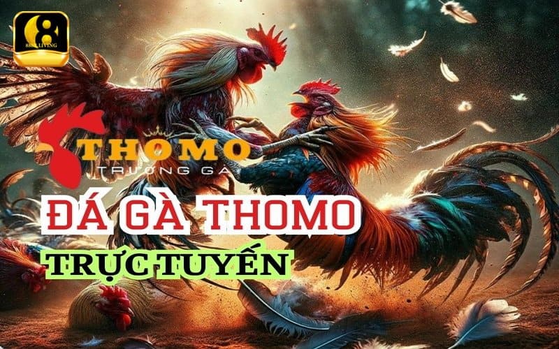 Chiến thuật đặt cược đá gà Thomo trên 888B